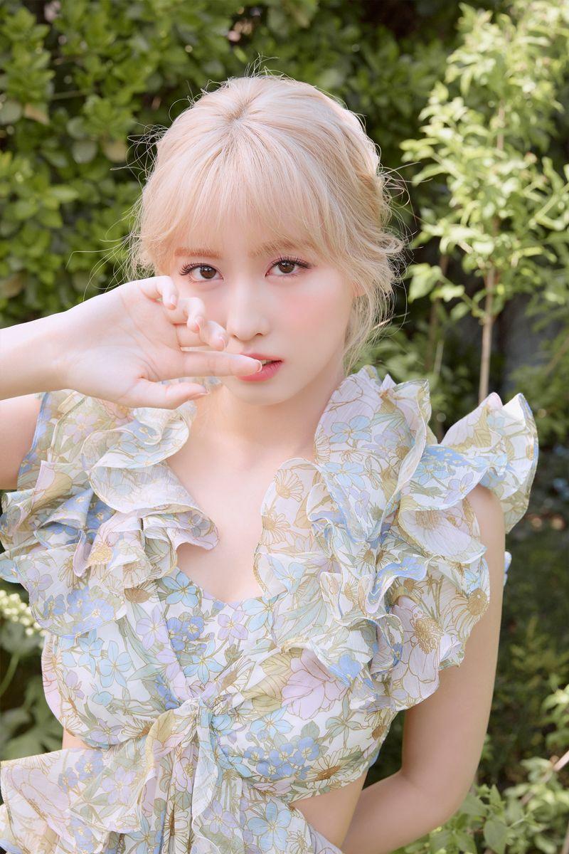 800x1200 TWICE. Gallery