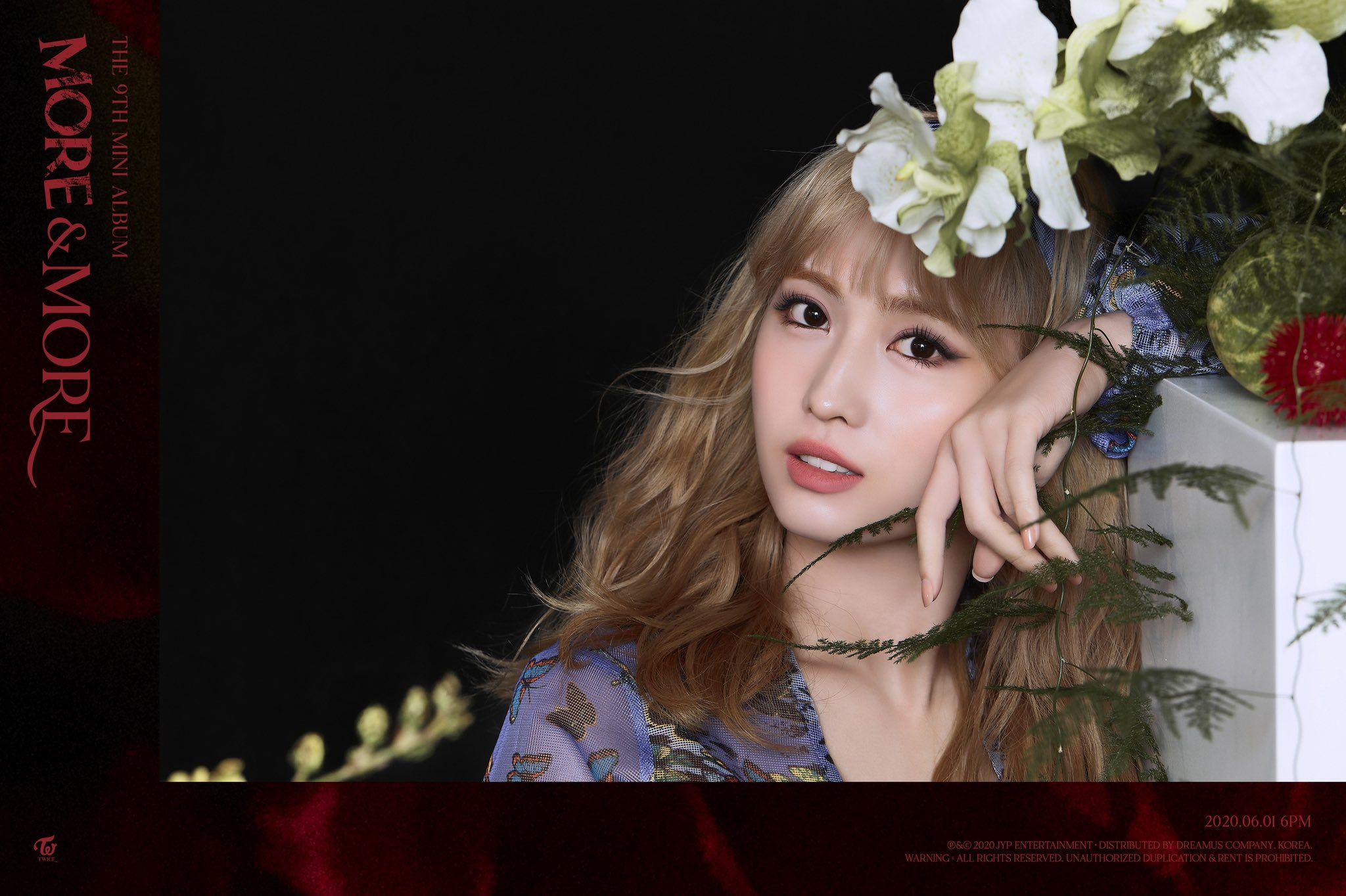 2048x1364 Hirai Momo KPOP Image Board