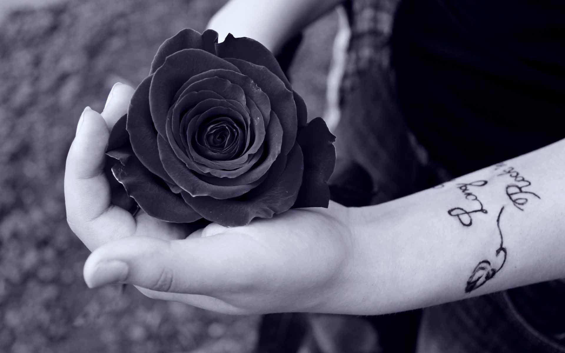 1920x1200 Black and white rose love wallpaper