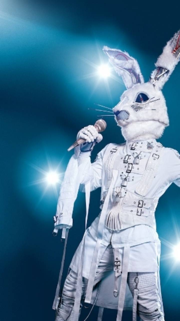 Masked Singer Wallpapers - Top Free Masked Singer Backgrounds ...