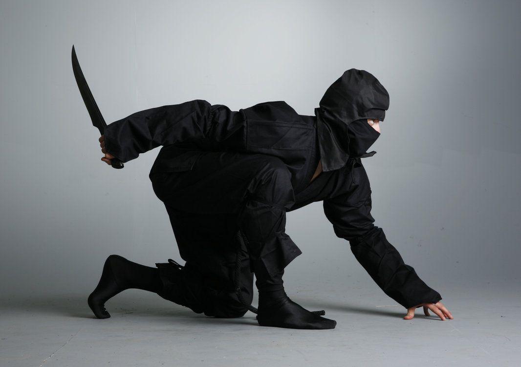 1066x750 Ninja Picture