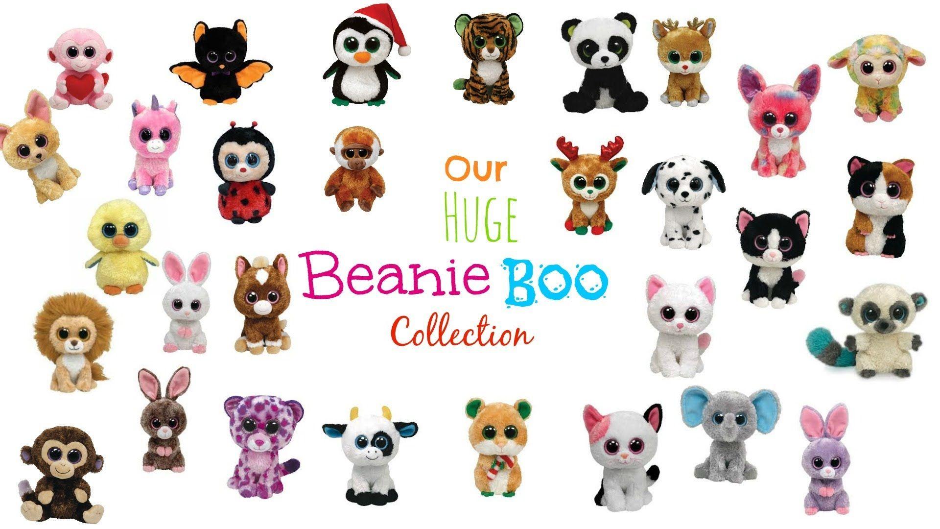 Beanie Boo Wallpapers - Top Free Beanie Boo Backgrounds - WallpaperAccess