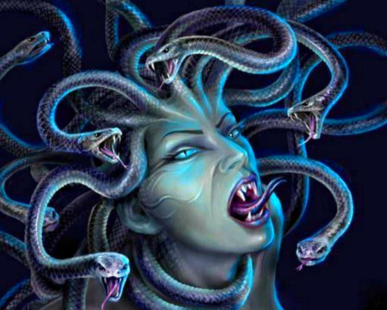Medusa heykel snake HD phone wallpaper  Peakpx