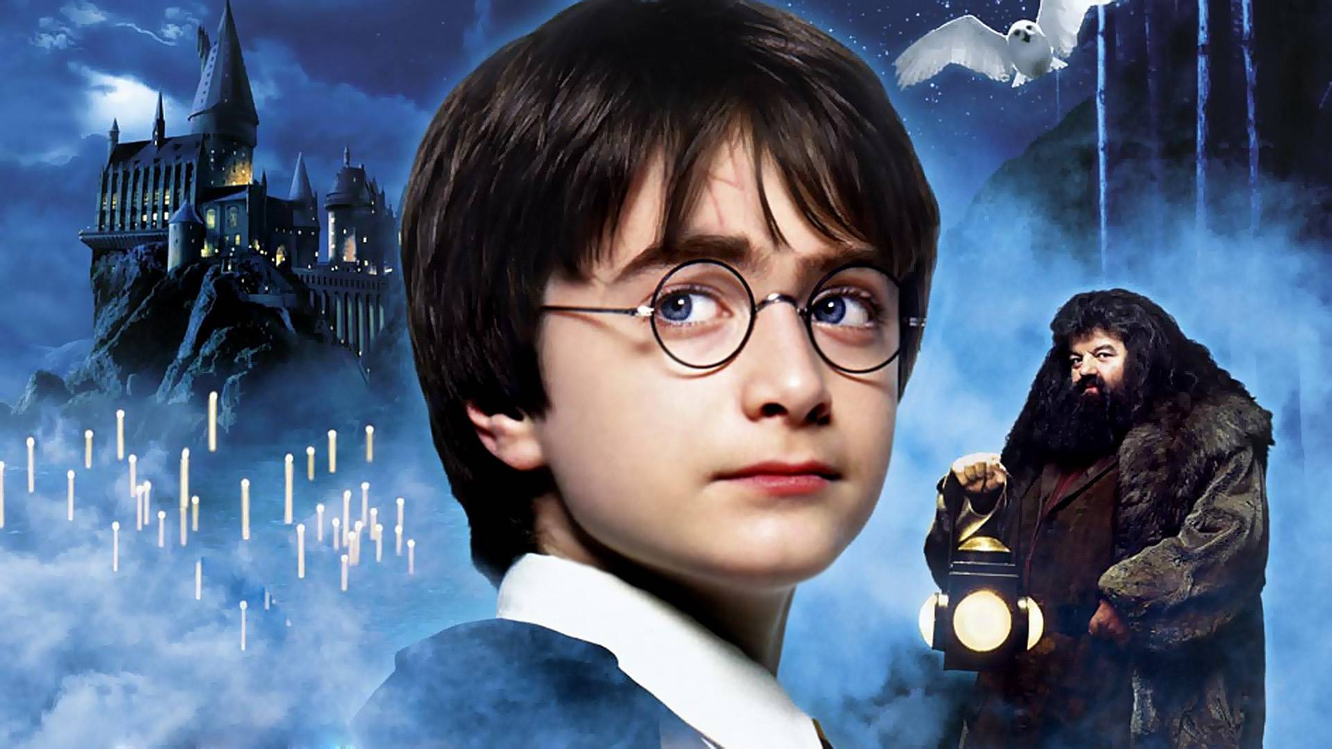1920x1080 Harry Potter And The Sorcerers Stone Harry Wallpaper 3. Planet