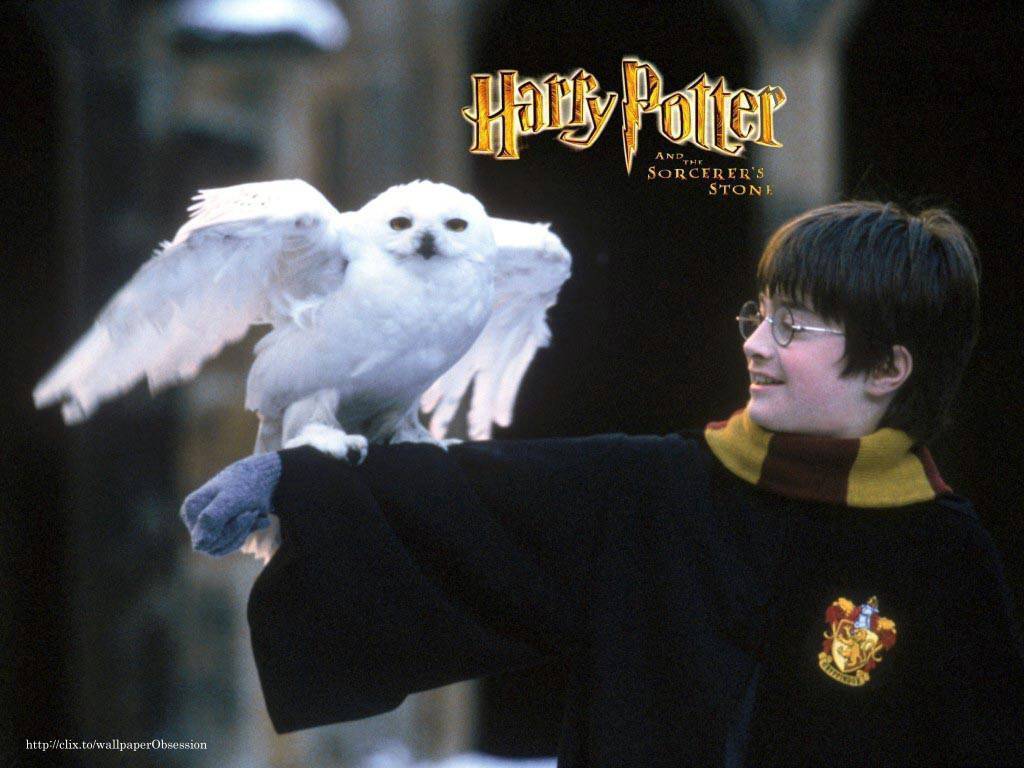 1024x768 Harry Potter and the Sorcerer's Stone James Potter