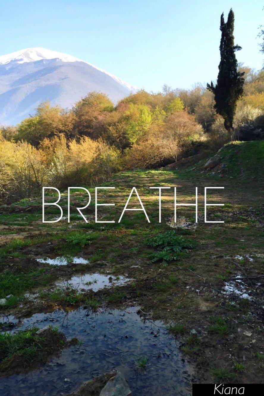 888x1334 Iran #Mazandaran #Marzanãbad #Nature #wallpaper #iPhone6