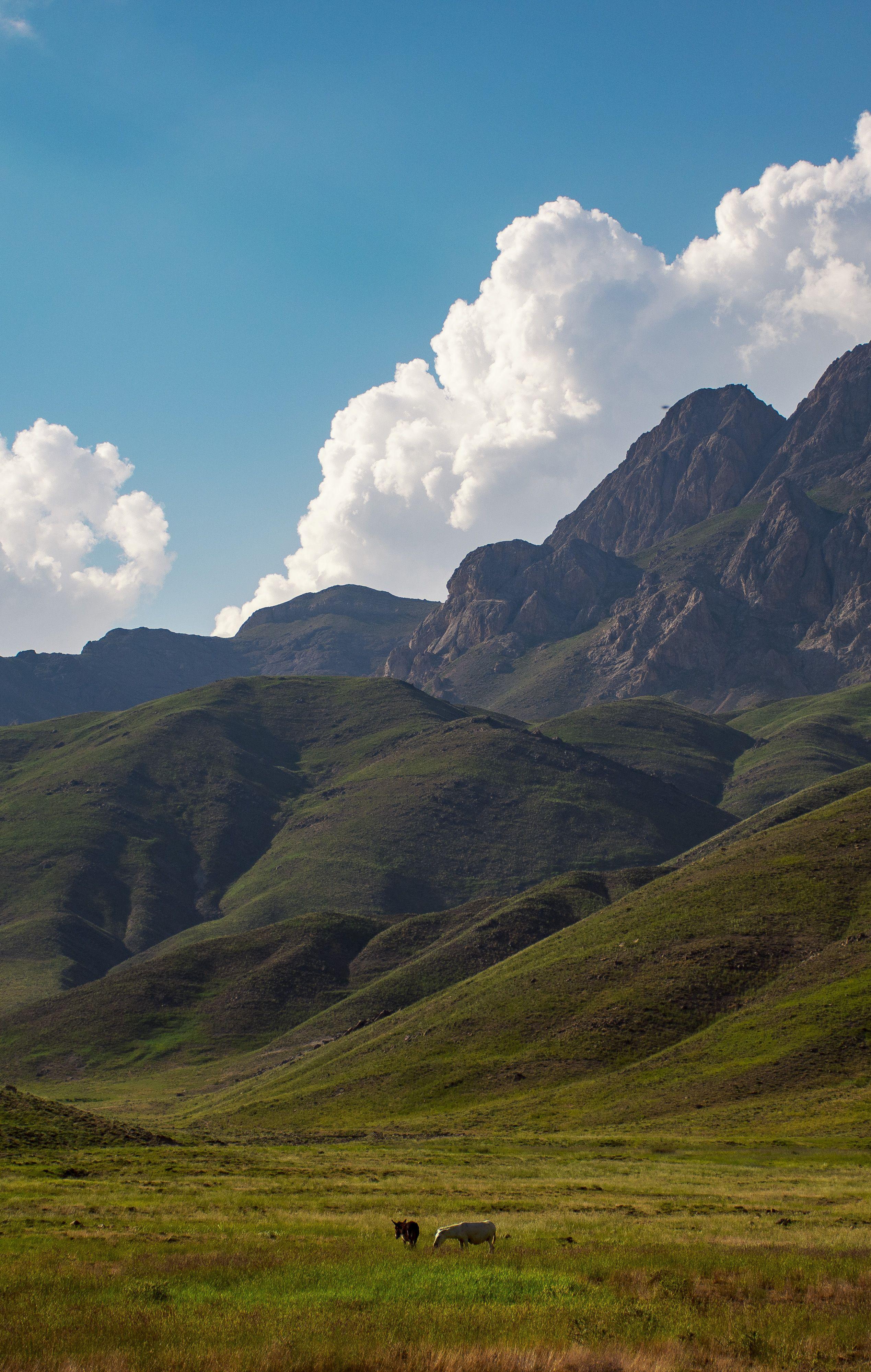 2538x4000 Wild and Free Wallpaper Nature. Wallpaper, Free wallpaper, Photo and video