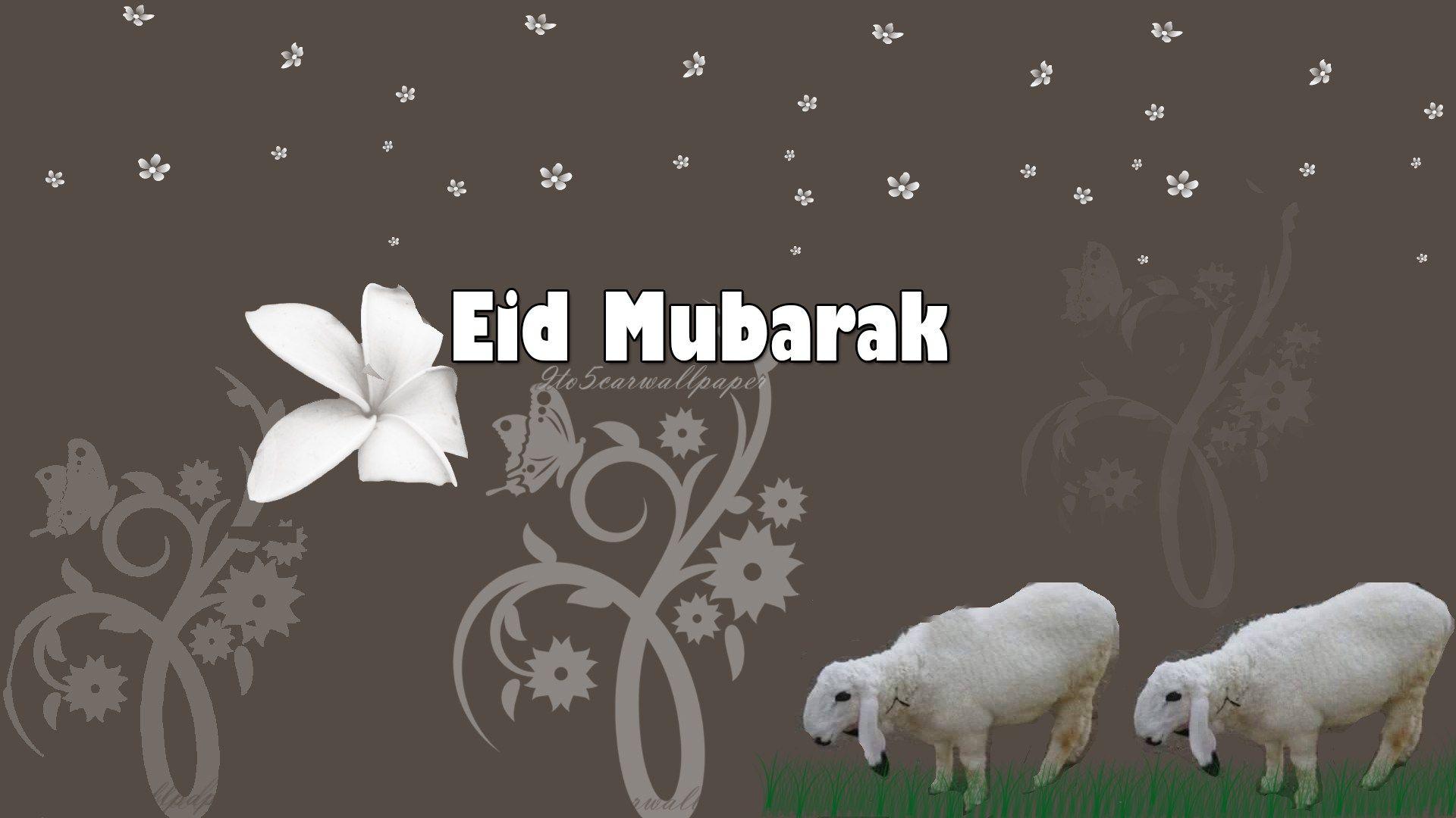 1920x1080 Eid Ul Adha Image HD. Eid al Adha (Bakrid)