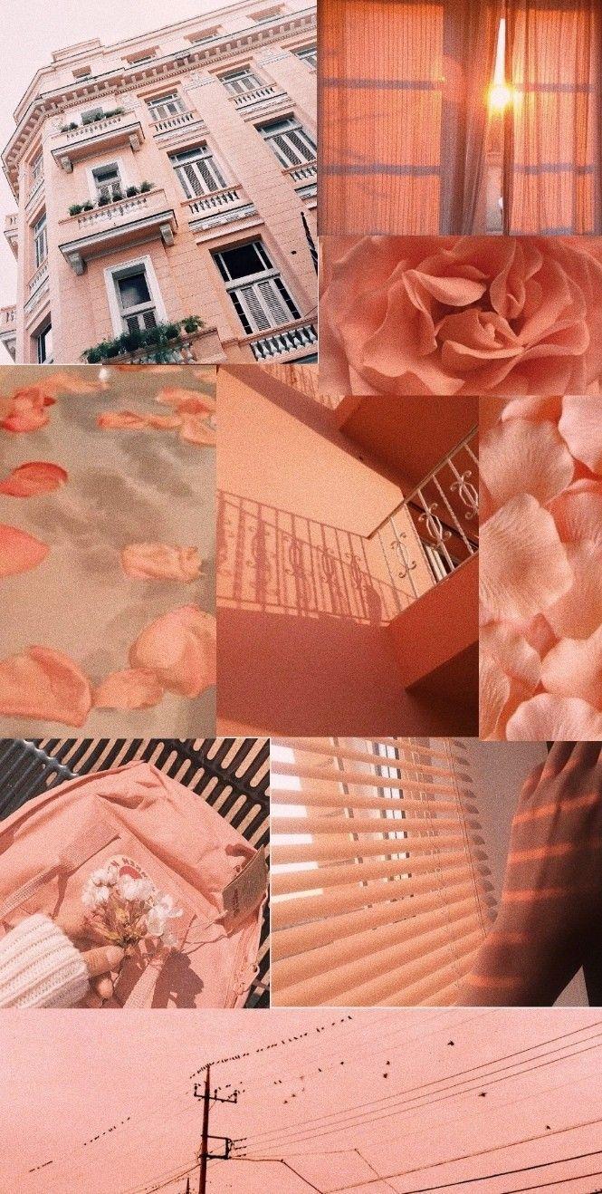 665x1318 Peachy aesthetic wallpaper. Papéis de parede vintage, Papel de