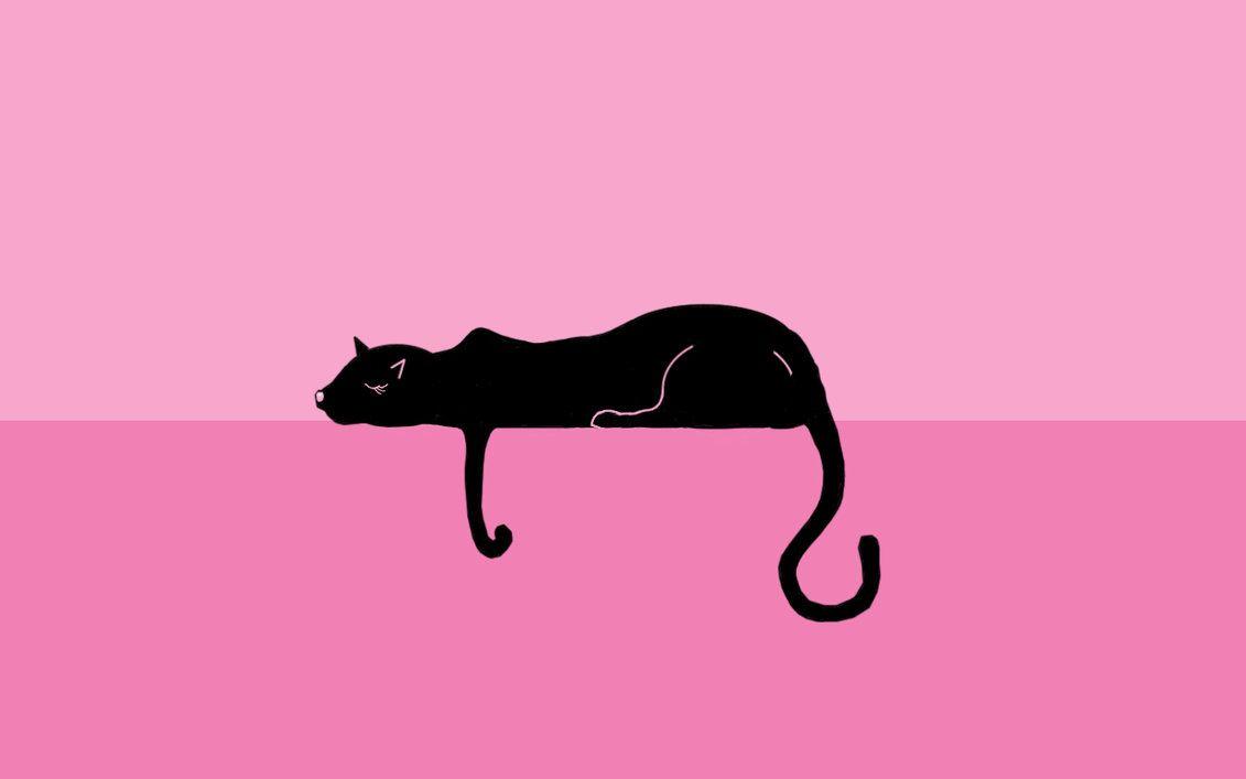 Pink Cat Wallpapers - Top Free Pink Cat Backgrounds - WallpaperAccess
