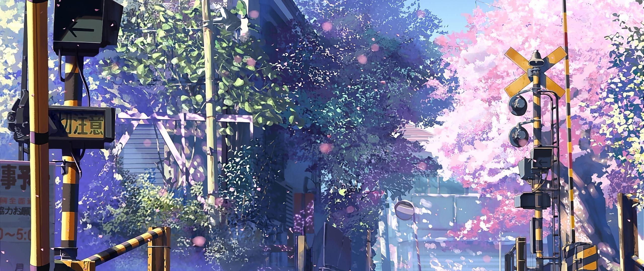 2560x1080 Centimeters Per Second Anime Tv Series 4k 2560x1080