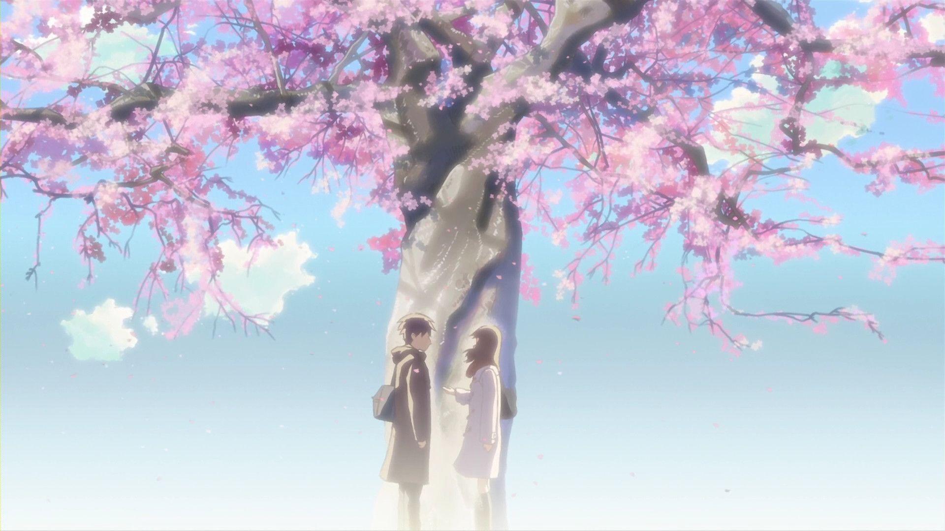 1920x1080 Centimeters per Second