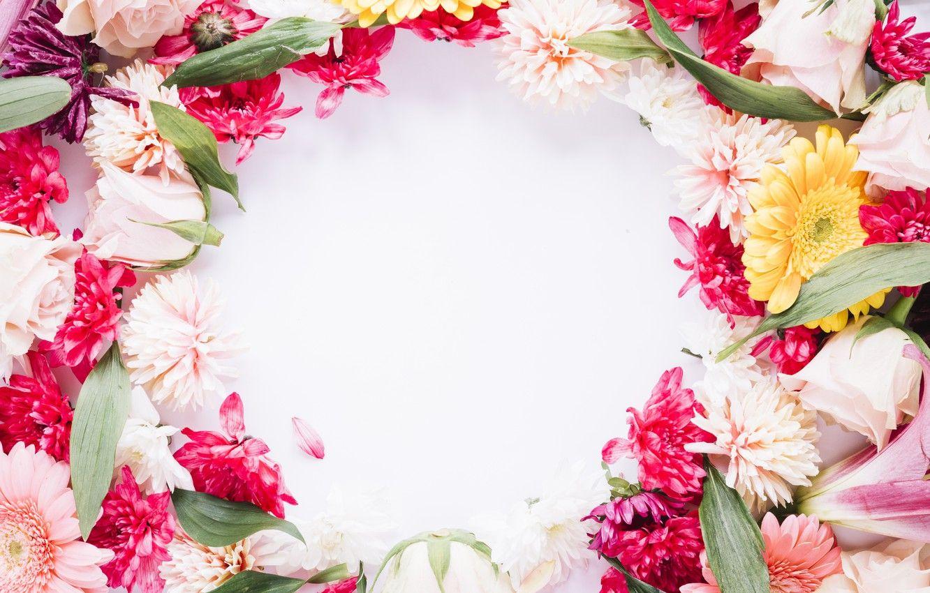 1332x850 Wallpaper flowers, frame, colorful, pink, flowers, frame, floral image for desktop, section цветы