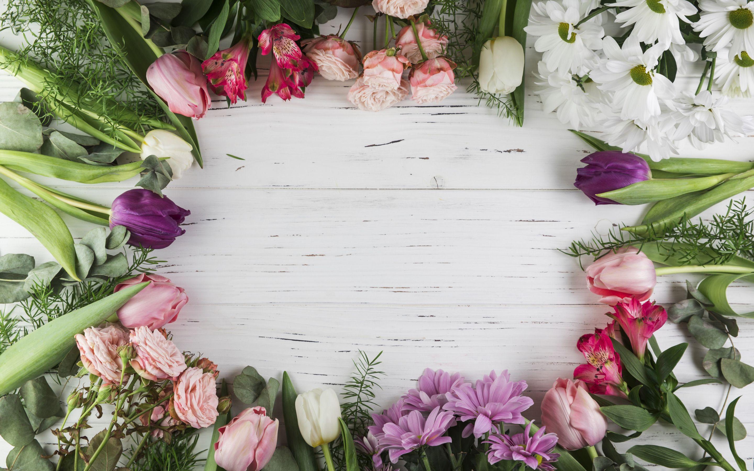 Flower Frame Wallpapers Top Free Flower Frame Backgrounds