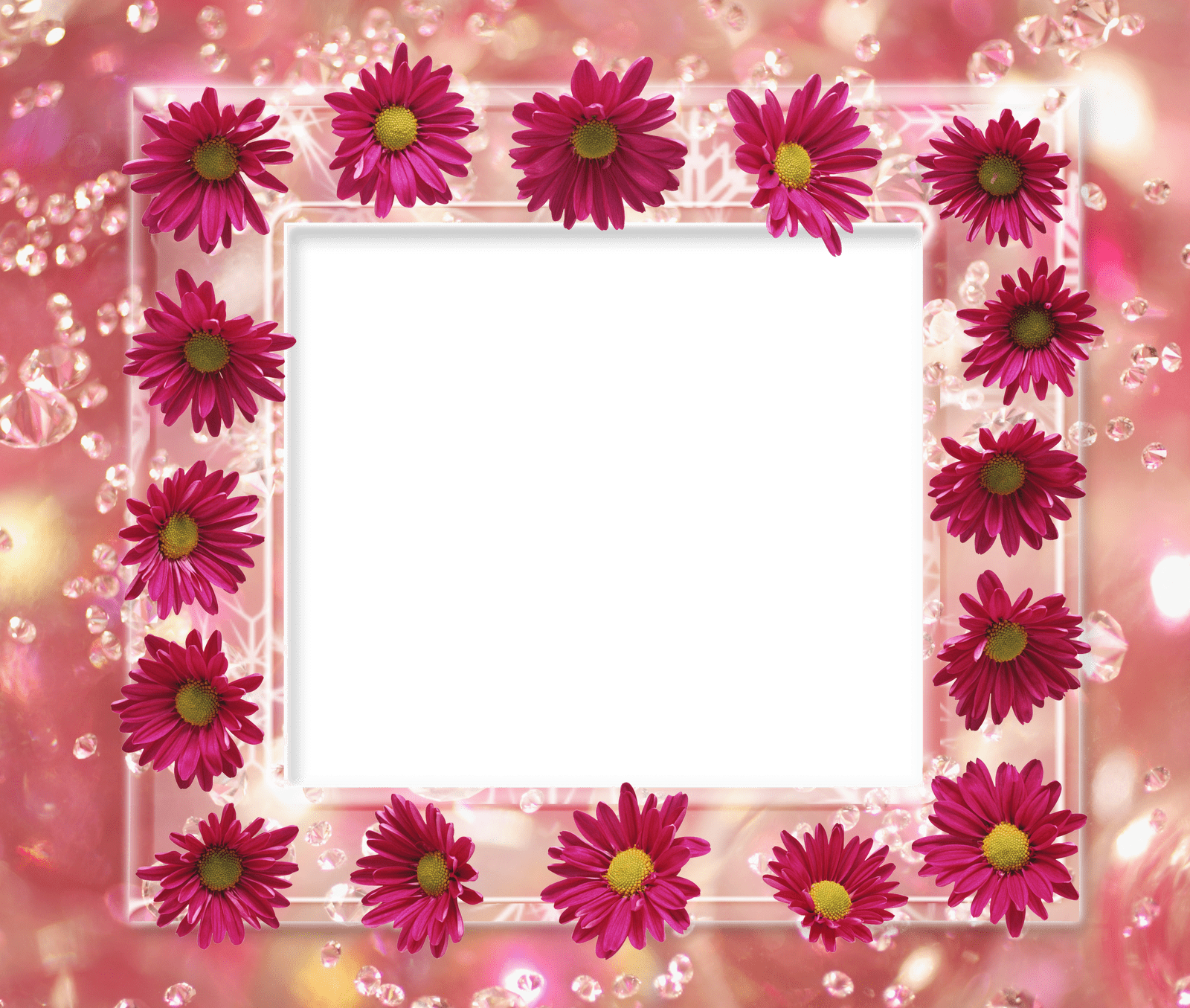 1600x1355 transparent background beautiful flower frame