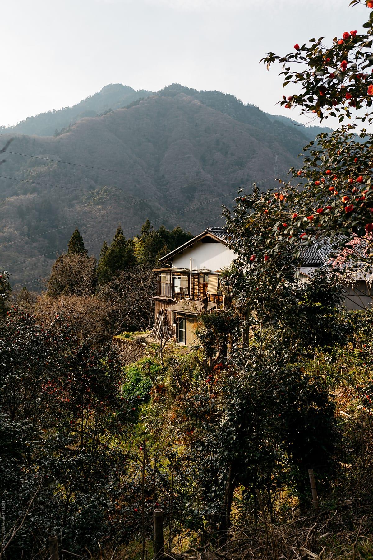1200x1800 view of small traditional home in japanese village country side