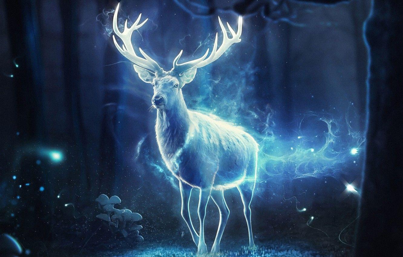1332x850 Wallpaper Night, Forest, Magic, Deer, Light, Fantasy, Horns, Art