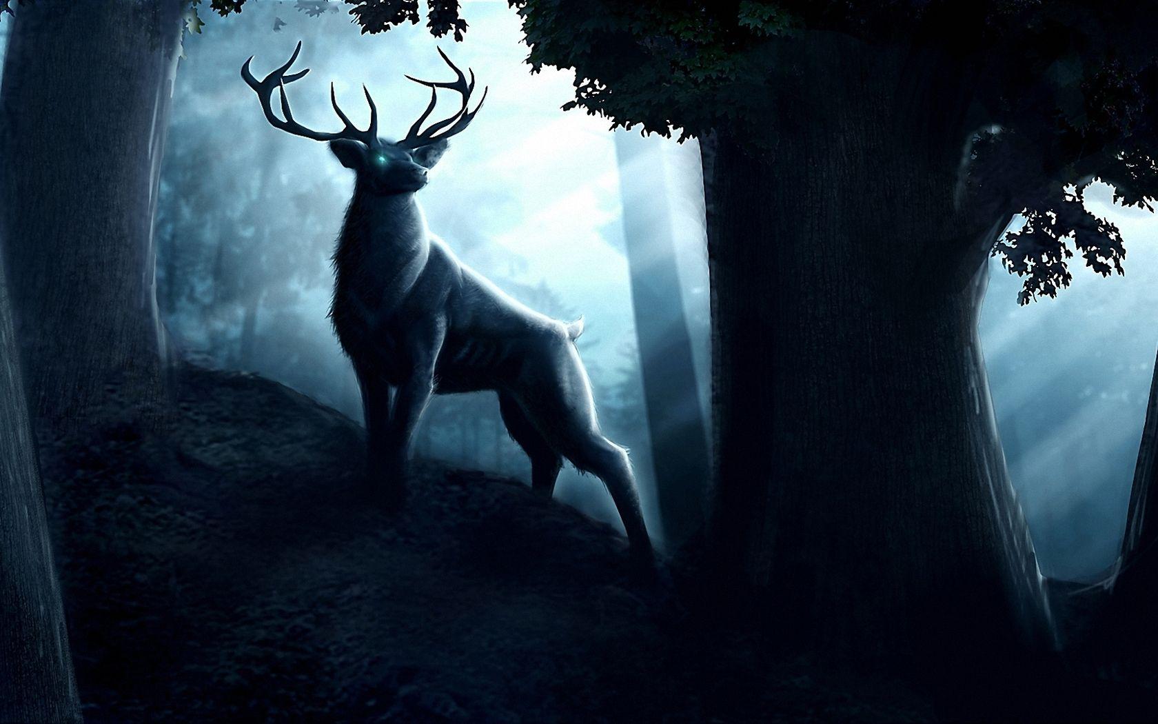 1680x1050 Stag Wallpaper. Stag Wallpaper, Stag