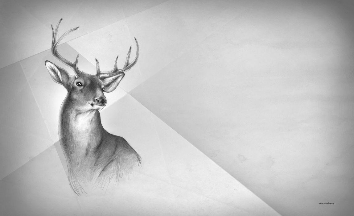1148x700 Deer black white art painting animal wallpaperx1440