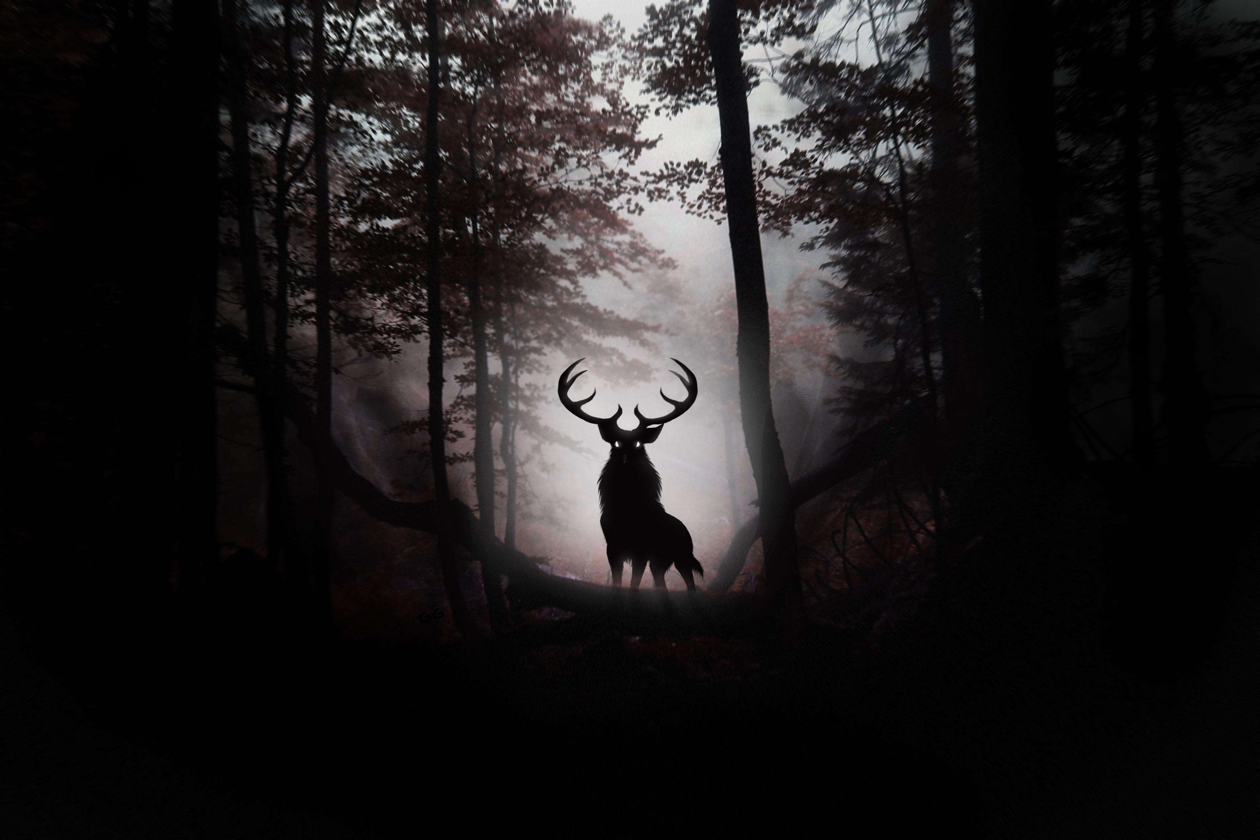4032x2688 Download wallpaper forest, leaves, trees, fog, animal, deer, art
