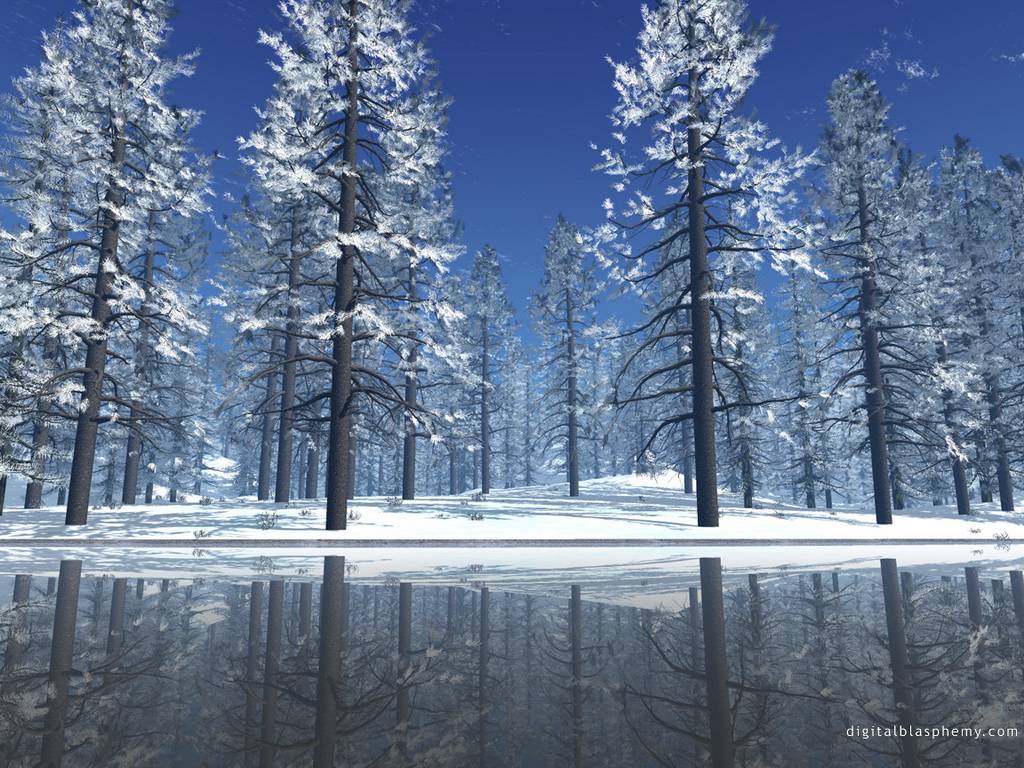 1024x768 Christmas Snow Scene Wallpaper .