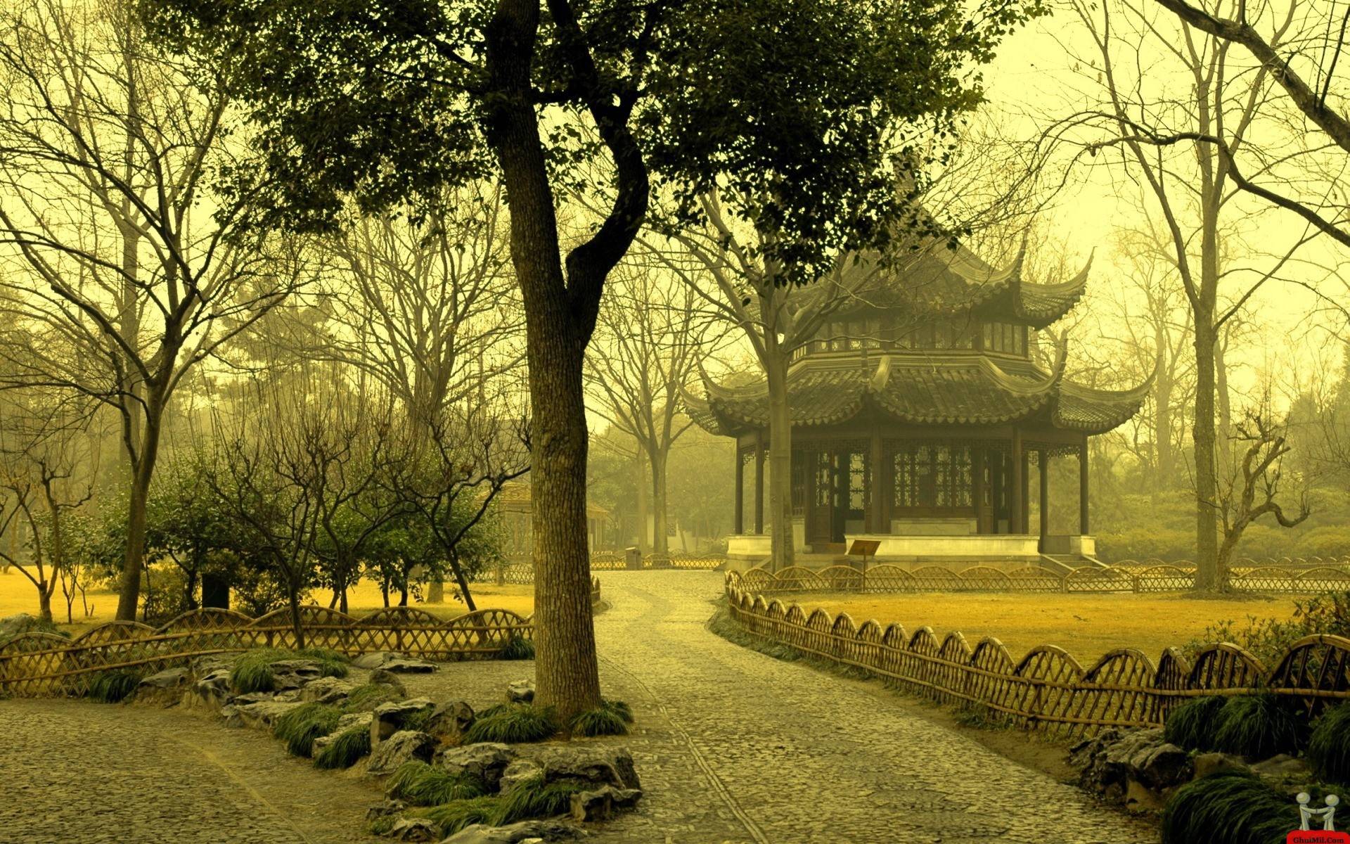 1920x1200 Beautiful Tree Wallpaper