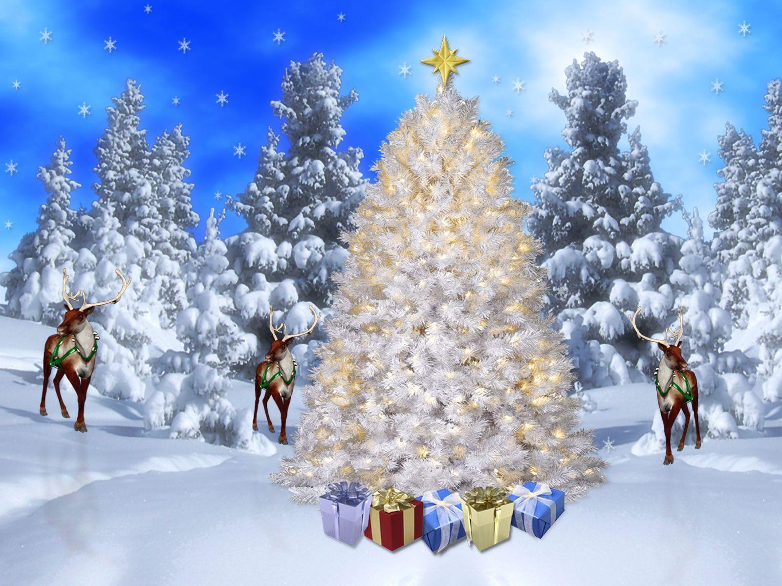 1600x1200 Christmas time. #Winter #Season #Snow #Cold #Christmas. See