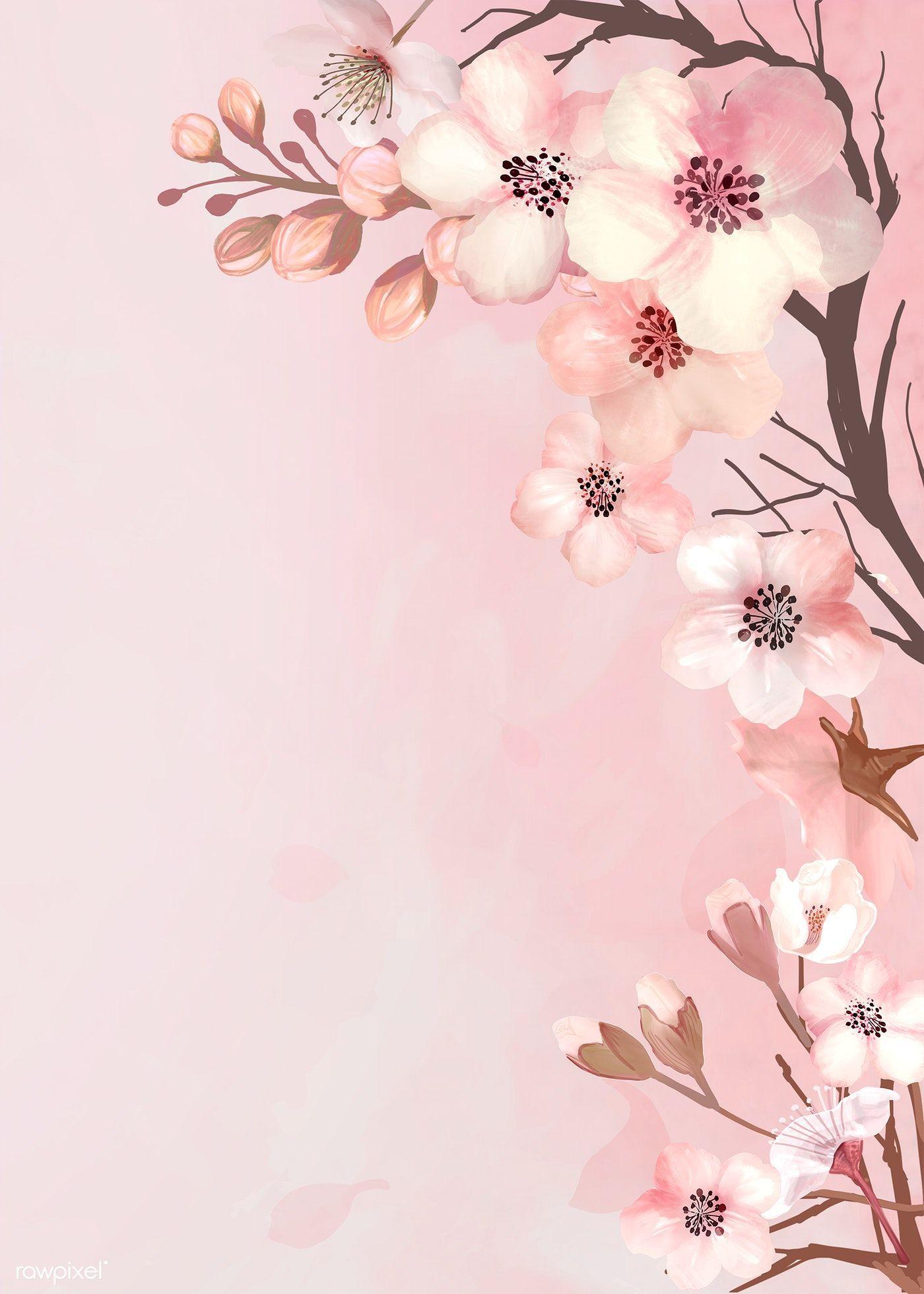 Pastel Cherry Blossom Wallpapers - Top Free Pastel Cherry Blossom  Backgrounds - WallpaperAccess