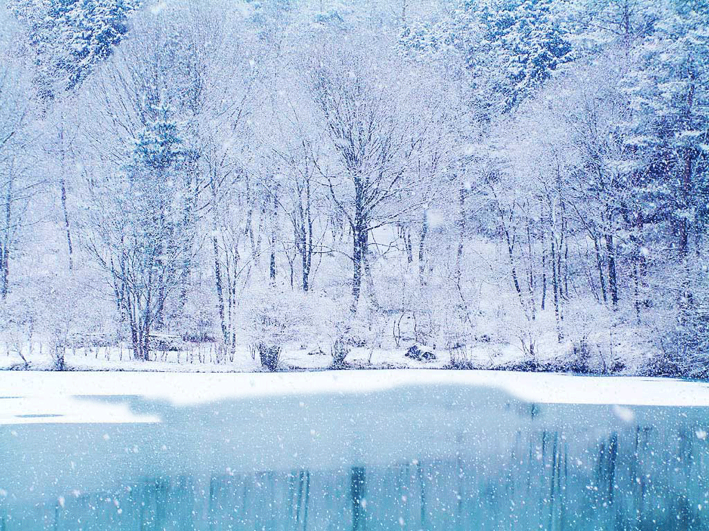 1024x768 Winter Chirstmas Snowfalling Ice Trees Lake Scenes Wallpaper