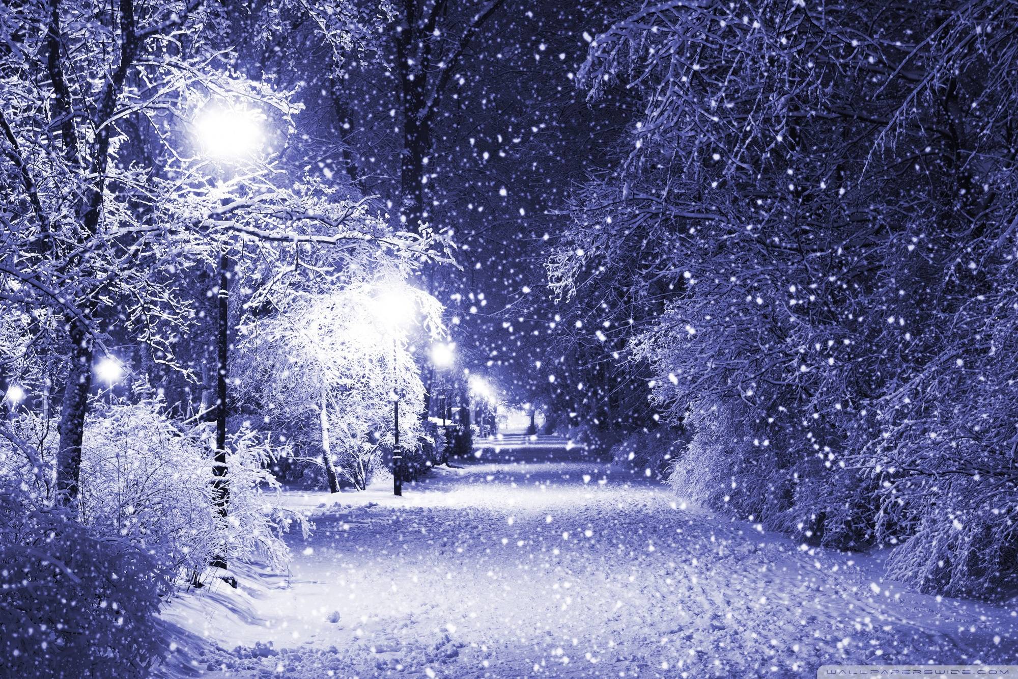 2000x1333 Hình nền cảnh đêm mùa đông