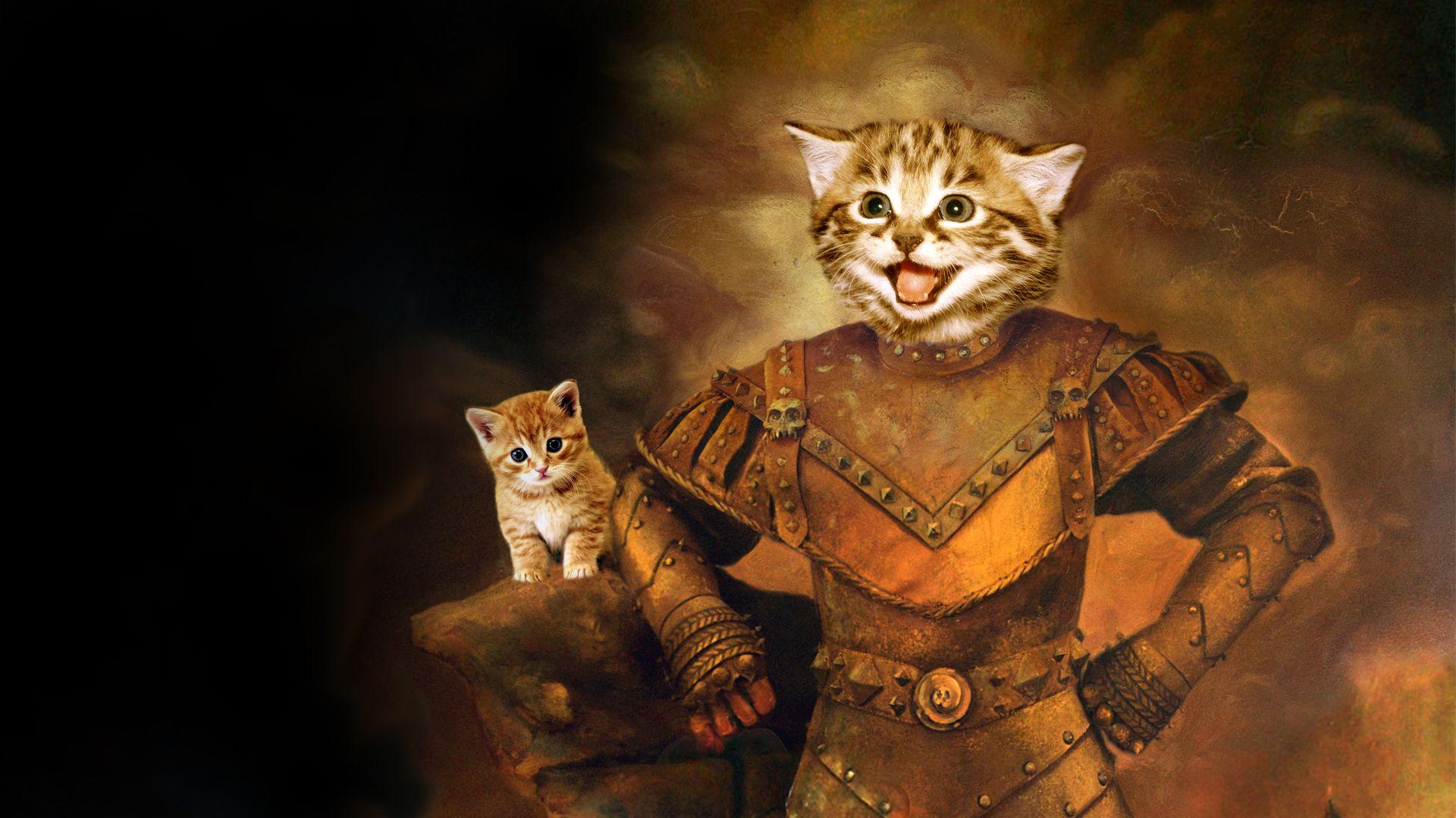 1920x1080 Cat Knight Wallpaper (5671)