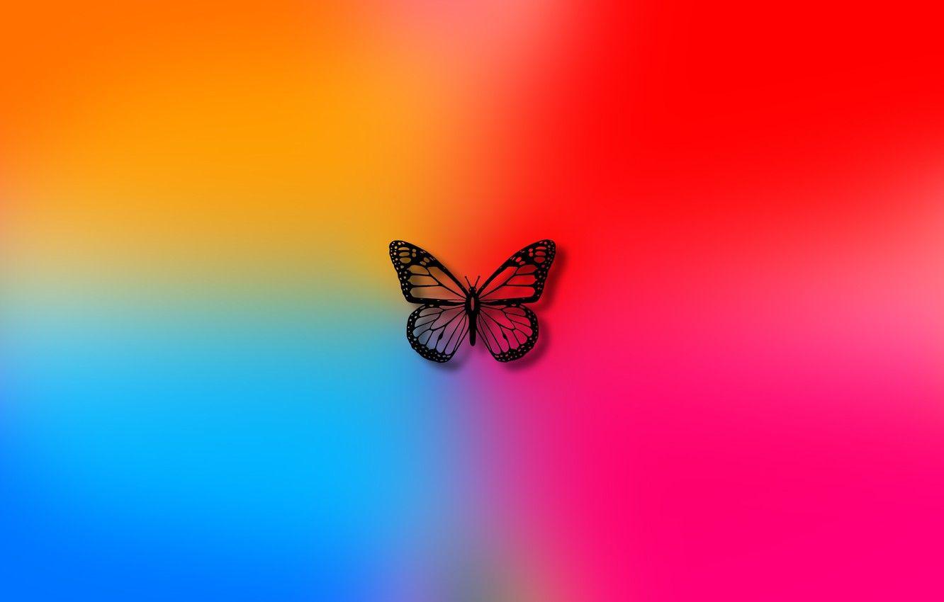 1332x850 Wallpaper color, background, butterfly, colors, art, wallpaper