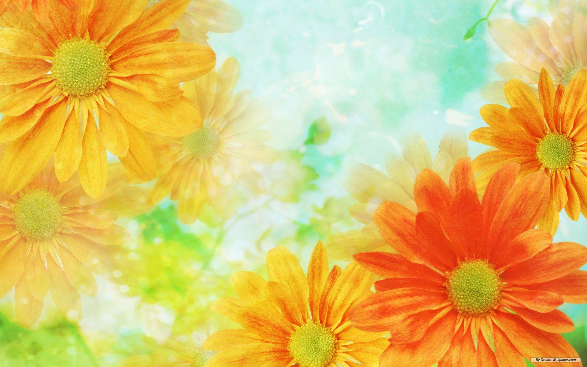 Flower Art Desktop Wallpapers Top Free Flower Art Desktop Backgrounds Wallpaperaccess