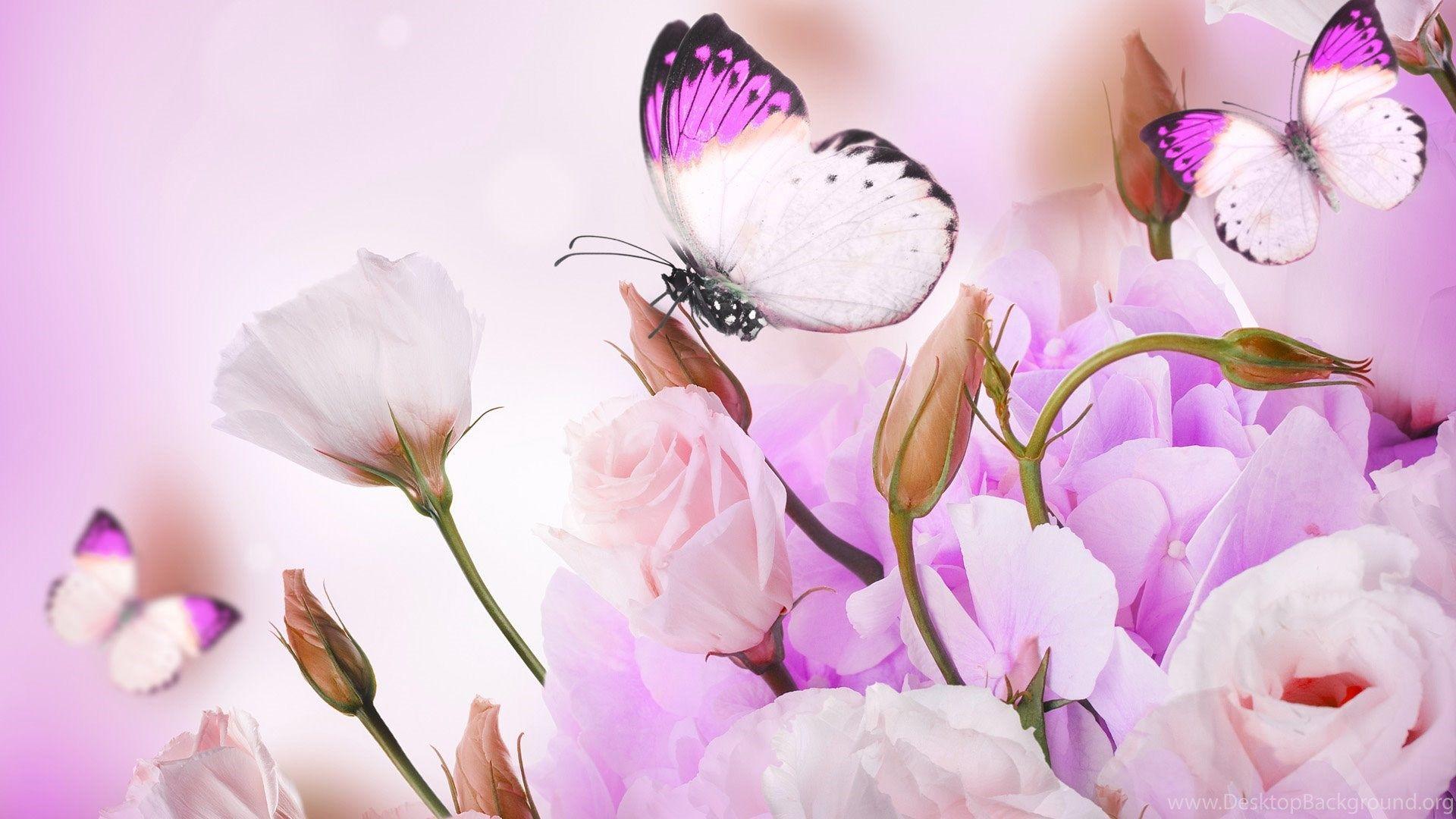1920x1080 Pink Roses And Butterfly Art Wallpaper, Rose Flower Image, Rose