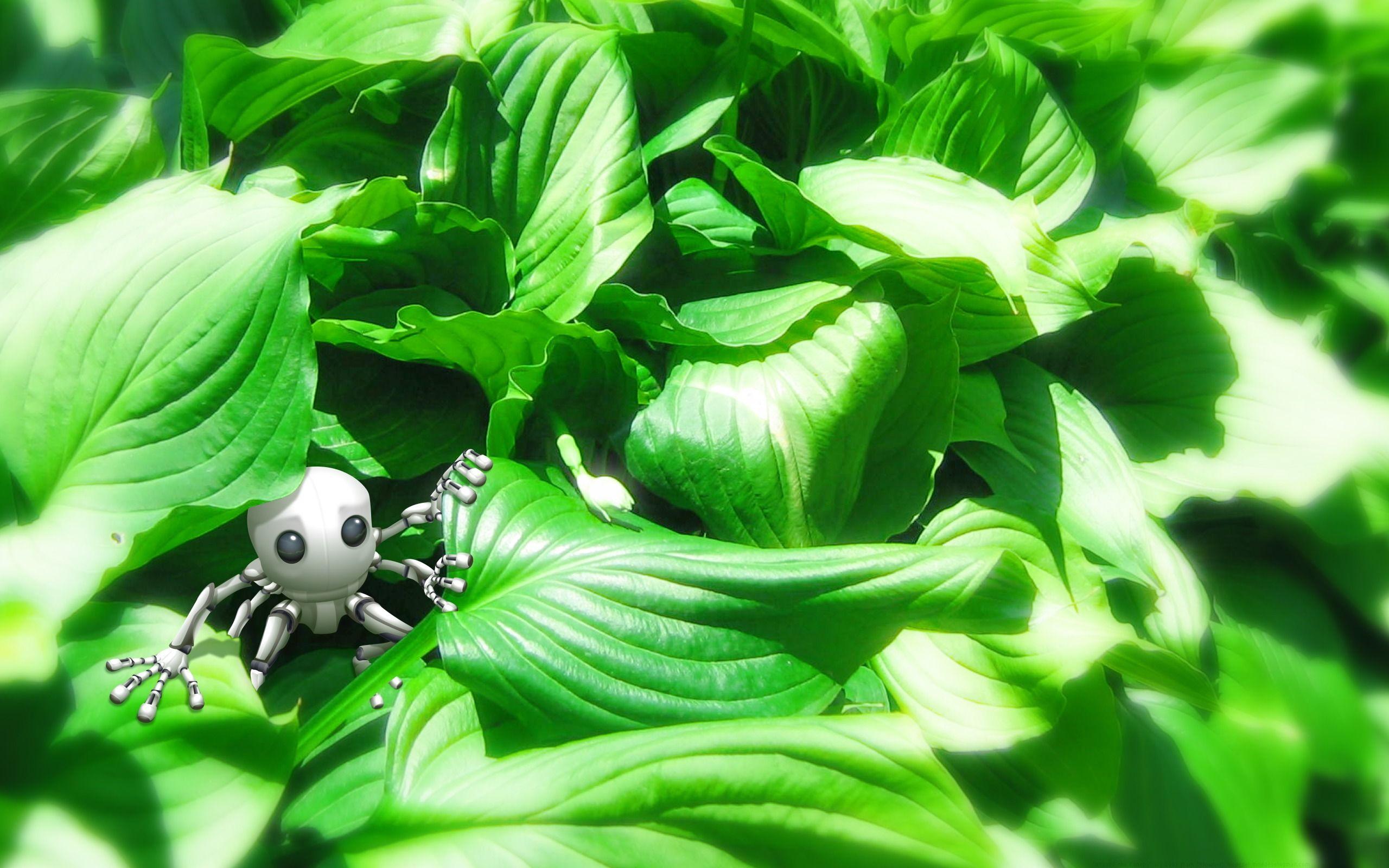 2560x1600 Robot on leaves Wallpaper Abstract 3D Wallpaper in jpg format