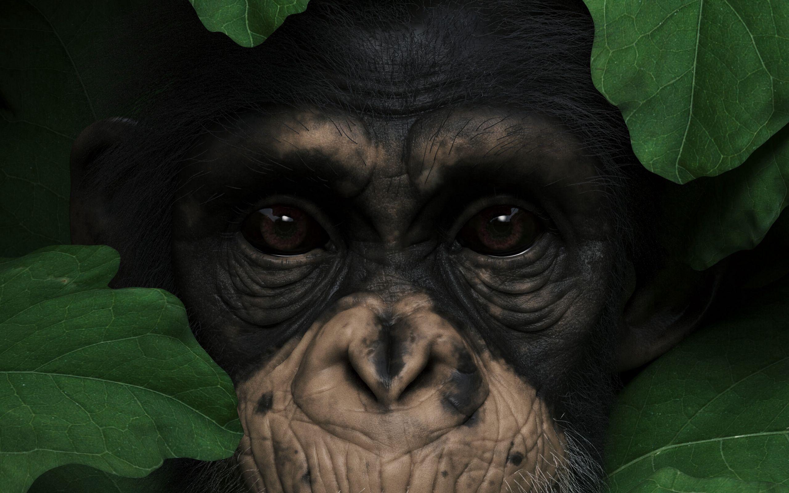 2560x1600 Download wallpaper 2560x1600 monkey, muzzle, leaves, portrait, 3D