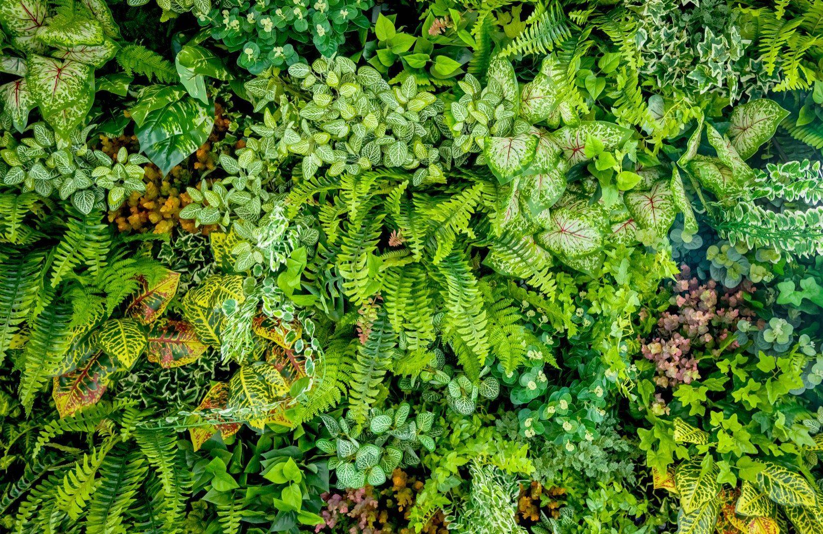 3D Leaves Wallpapers Top Free 3D Leaves Backgrounds WallpaperAccess