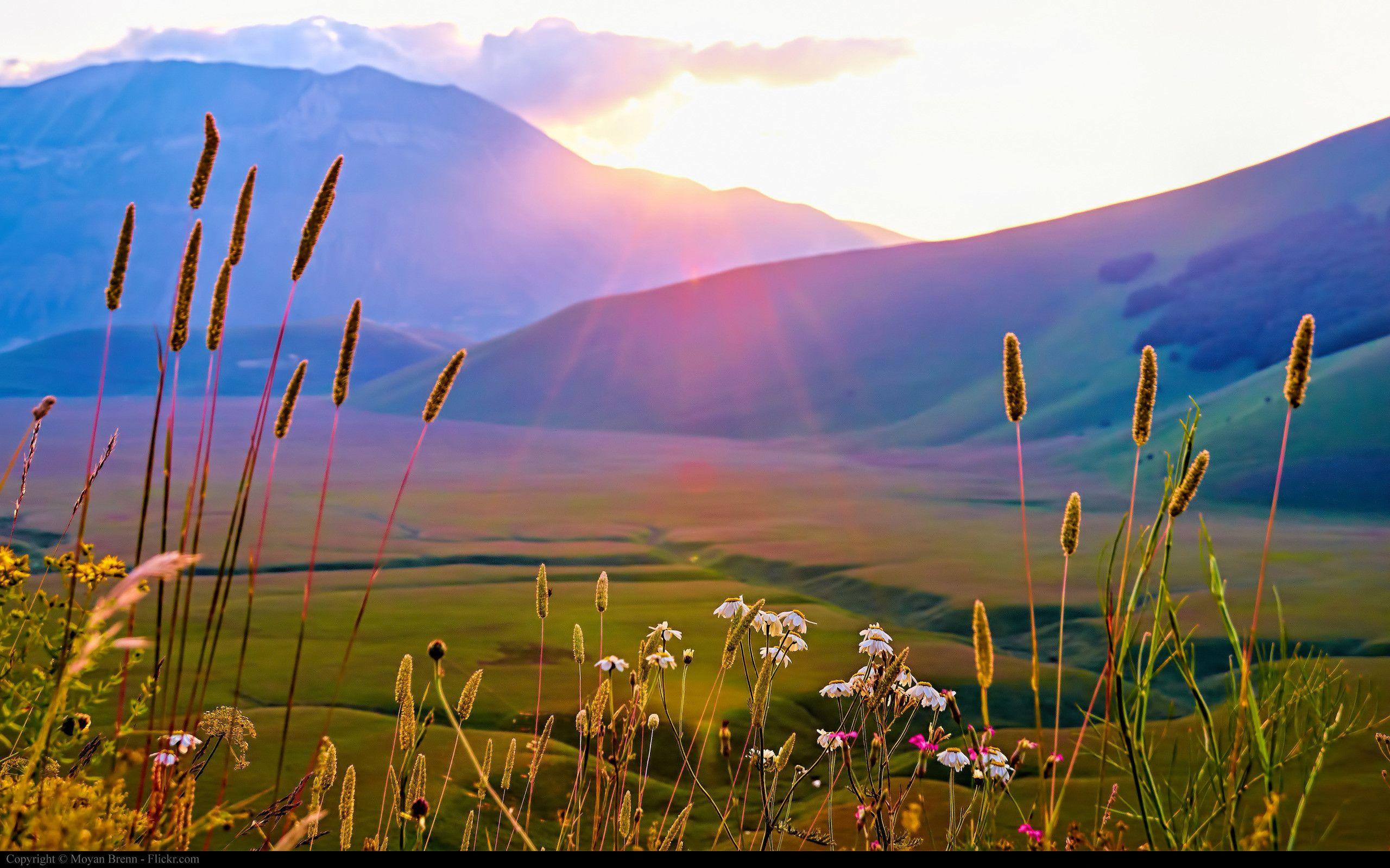 2560x1599 Sunrise Desktop Wallpaper