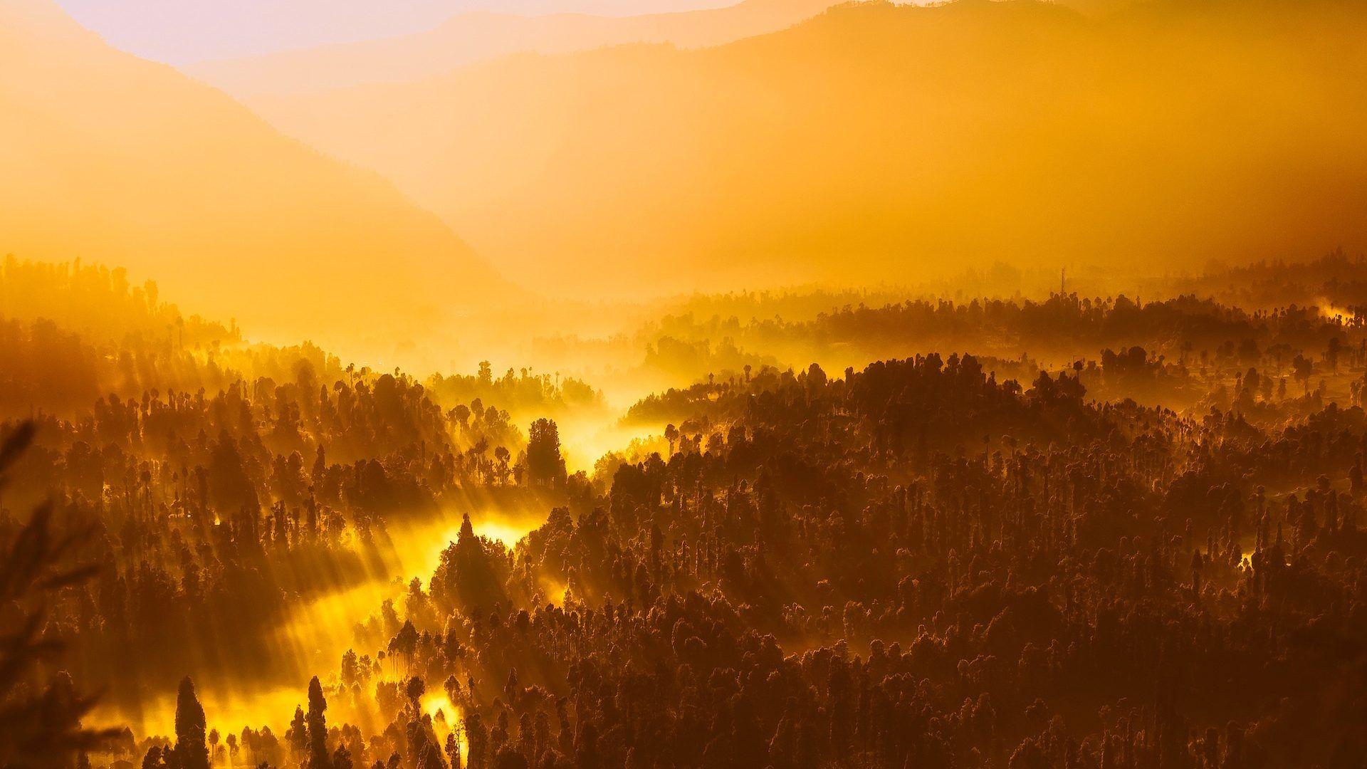1920x1080 Golden Sunrise Desktop Wallpaper. Computer Background Image