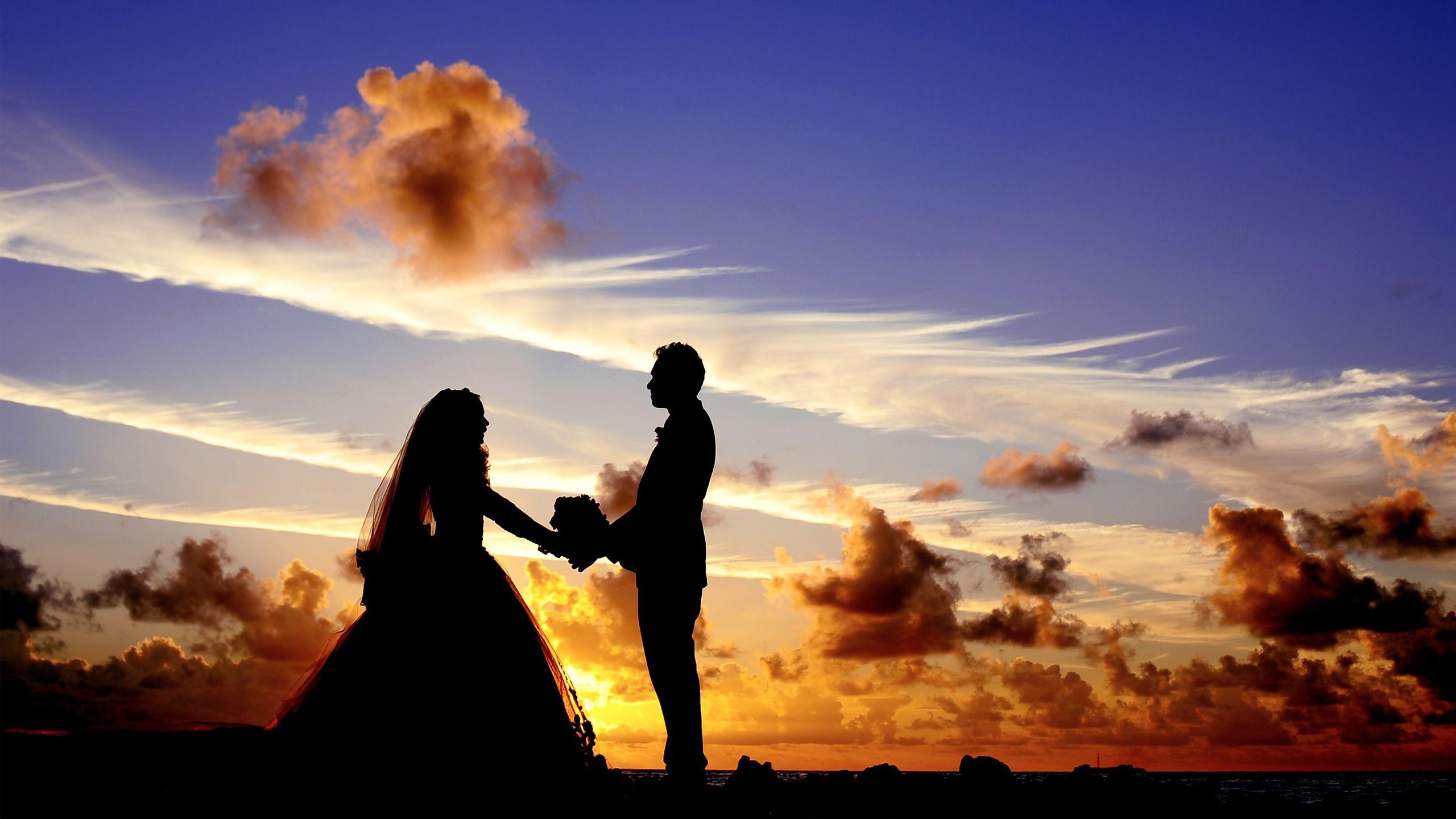 2560x1440 Married 4K wallpaper for your desktop or mobile screen free