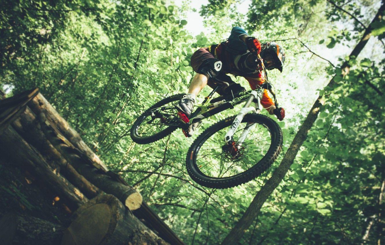 Forest Downhill HD Wallpapers - Top Free Forest Downhill HD Backgrounds ...