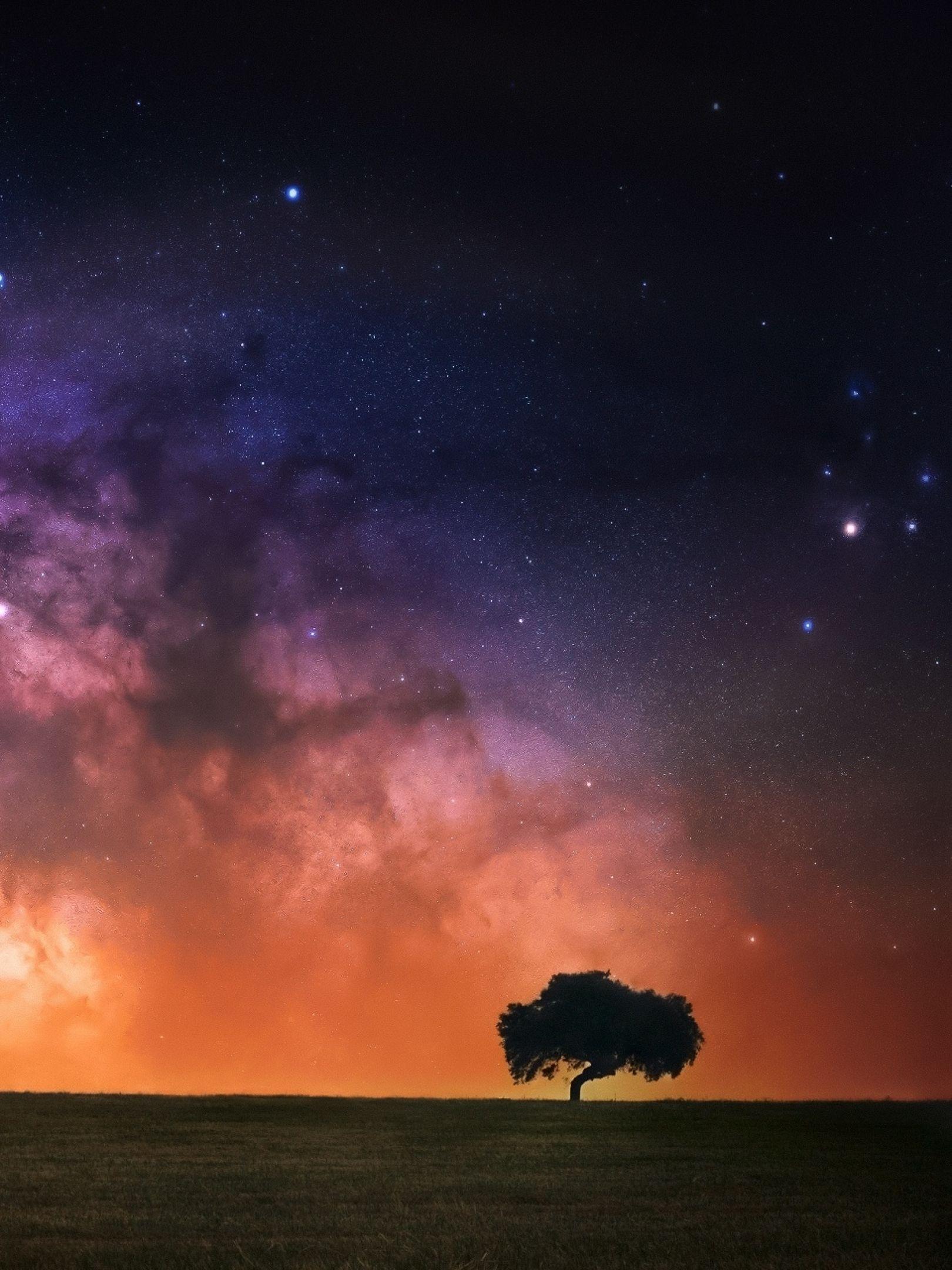 1620x2160 Starry Sky In Open Field 1620x2160 Resolution Wallpaper