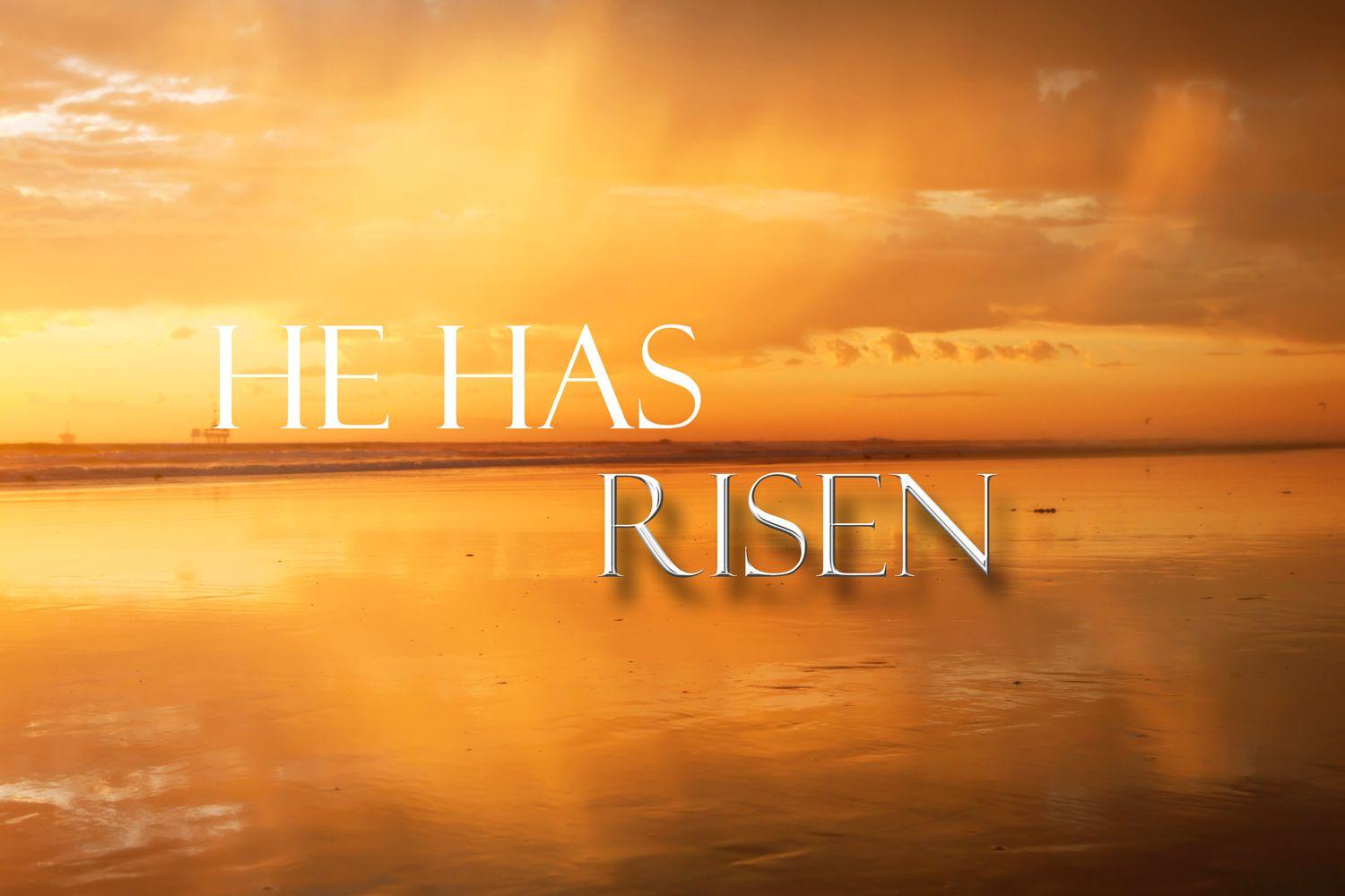 download the new Risen