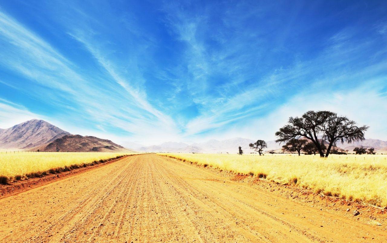 1280x804 Wide Road Golden Savannah wallpaper. Wide Road Golden Savannah