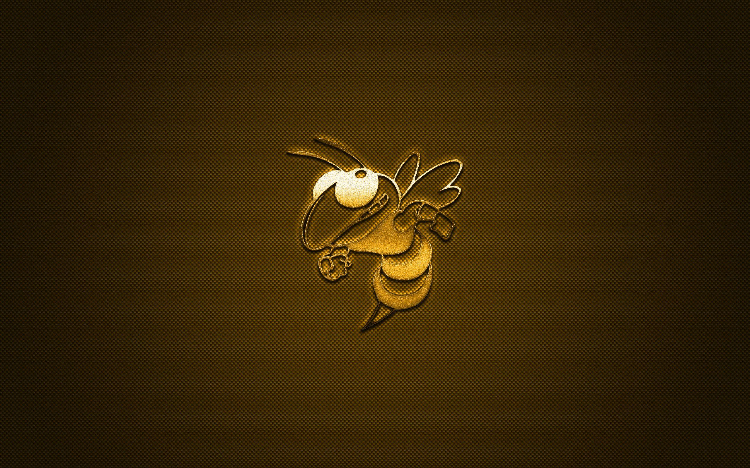 2560x1600 Download wallpaper Georgia Tech Yellow Jackets logo, American football club, NCAA, yellow logo, yellow carbon fiber background, American football, Atlanta, Georgia, USA, Georgia Tech Yellow Jackets for desktop with resolution 2560x1600. High