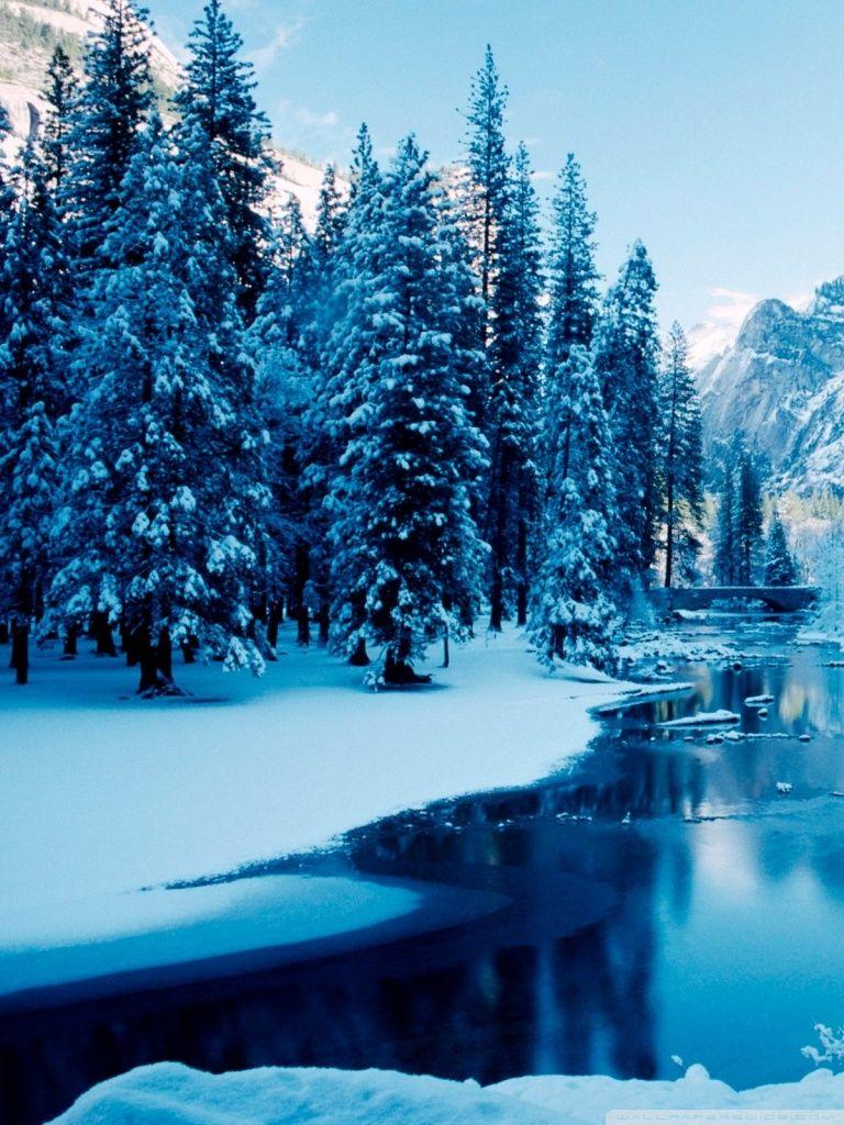 768x1024 Snowy Landscape Wallpaper