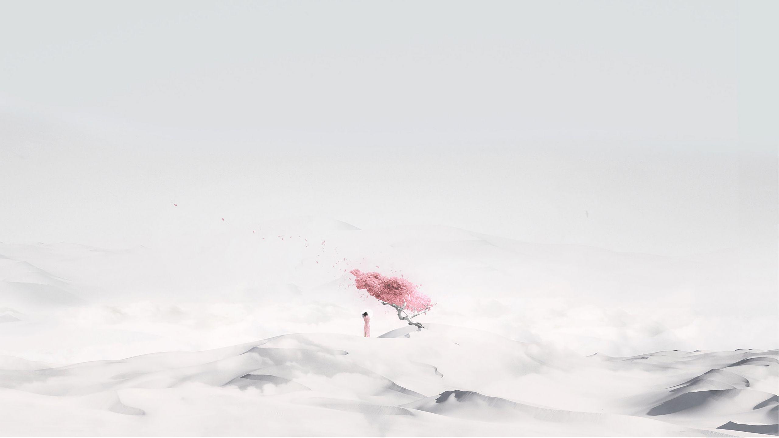 Sakura Minimalist Wallpapers Top Free Sakura Minimalist Backgrounds Wallpaperaccess