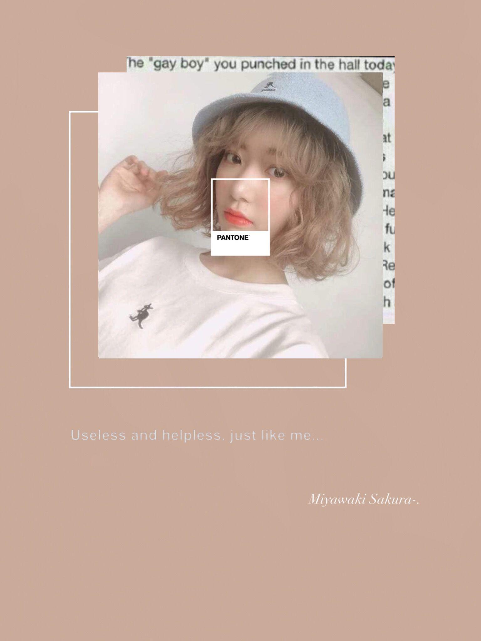 1536x2048 Miyawaki sakura wallpaper