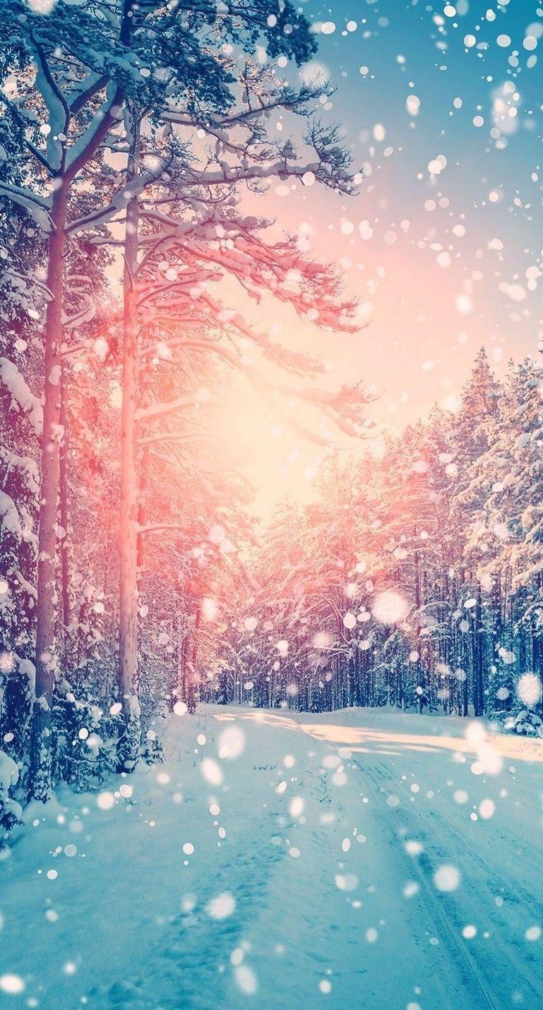 769x1431 Winter Wallpaper for iPhone Free HD Wallpaper