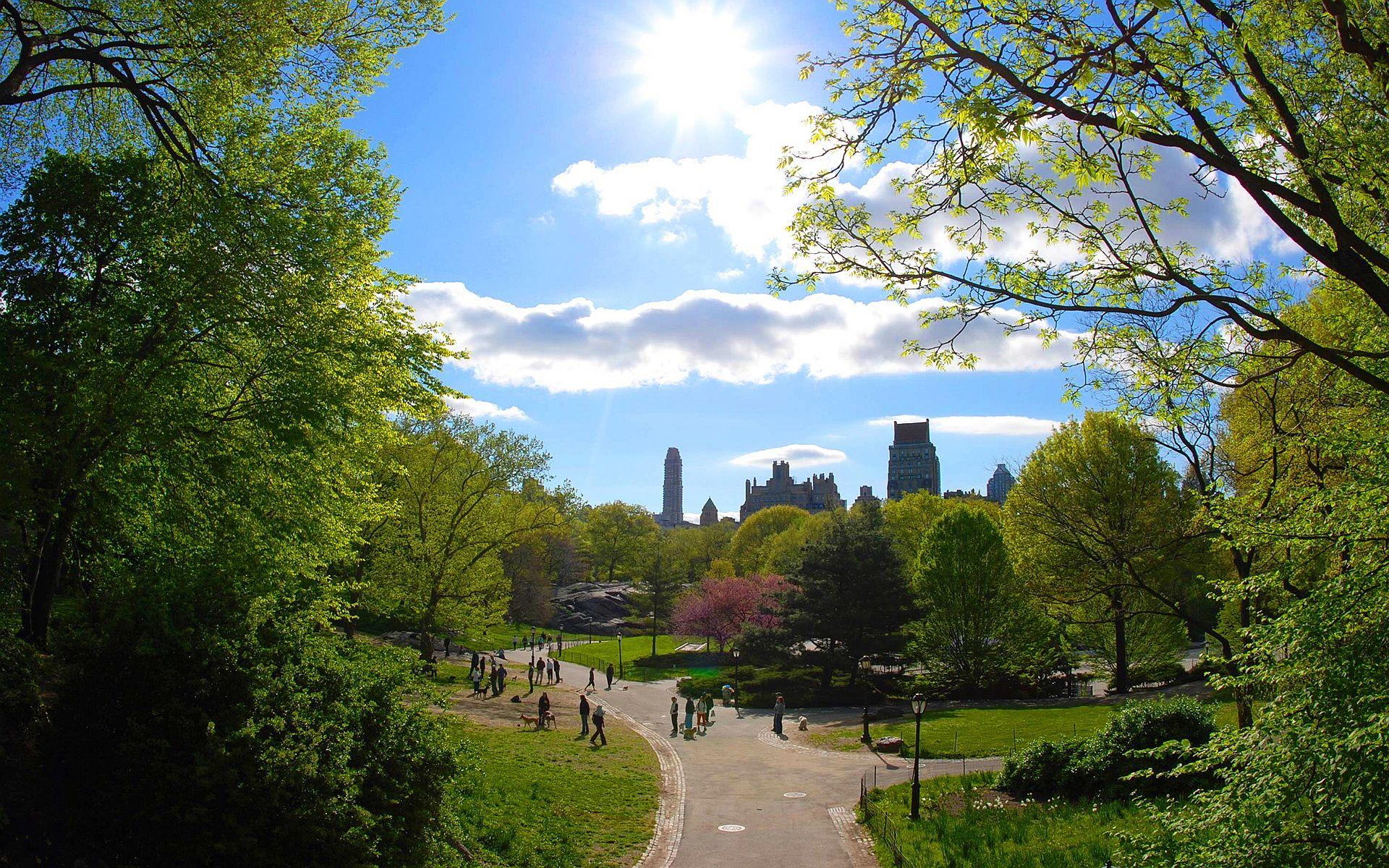 1920x1200 Central park new york city